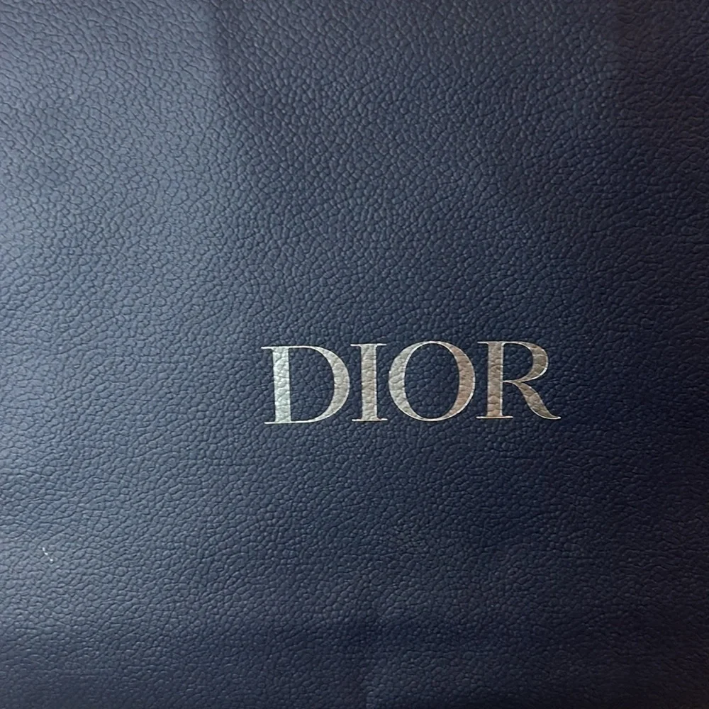 Dior gift bag larger size